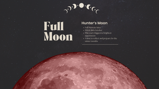 Full Moon | Hunter's Moon