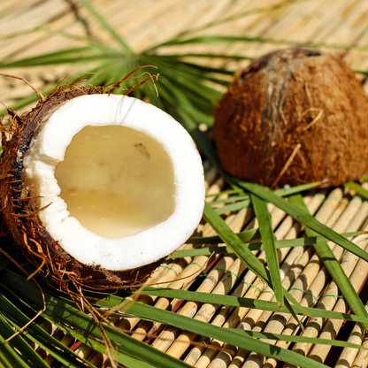 Coconut Soy Wax Melts | Summer Botanical Wax Melts (v)