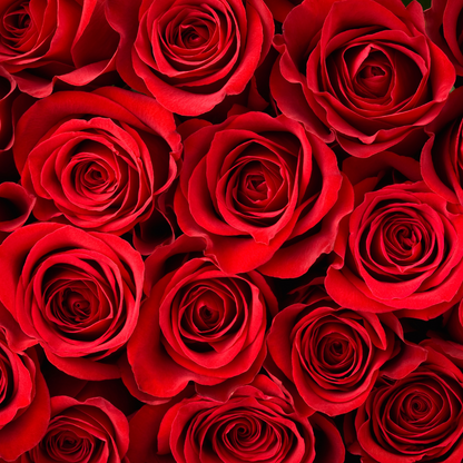 Rose and Oud Starter Kit | Valentines Gift Set (v)